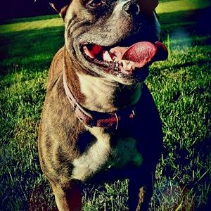 Meet your Posher, Sherri